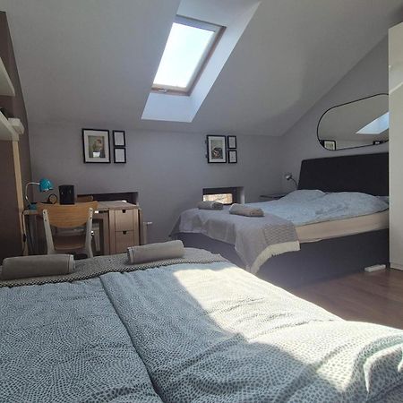 Oświęcim Guesthouse Prusa 7 מראה חיצוני תמונה